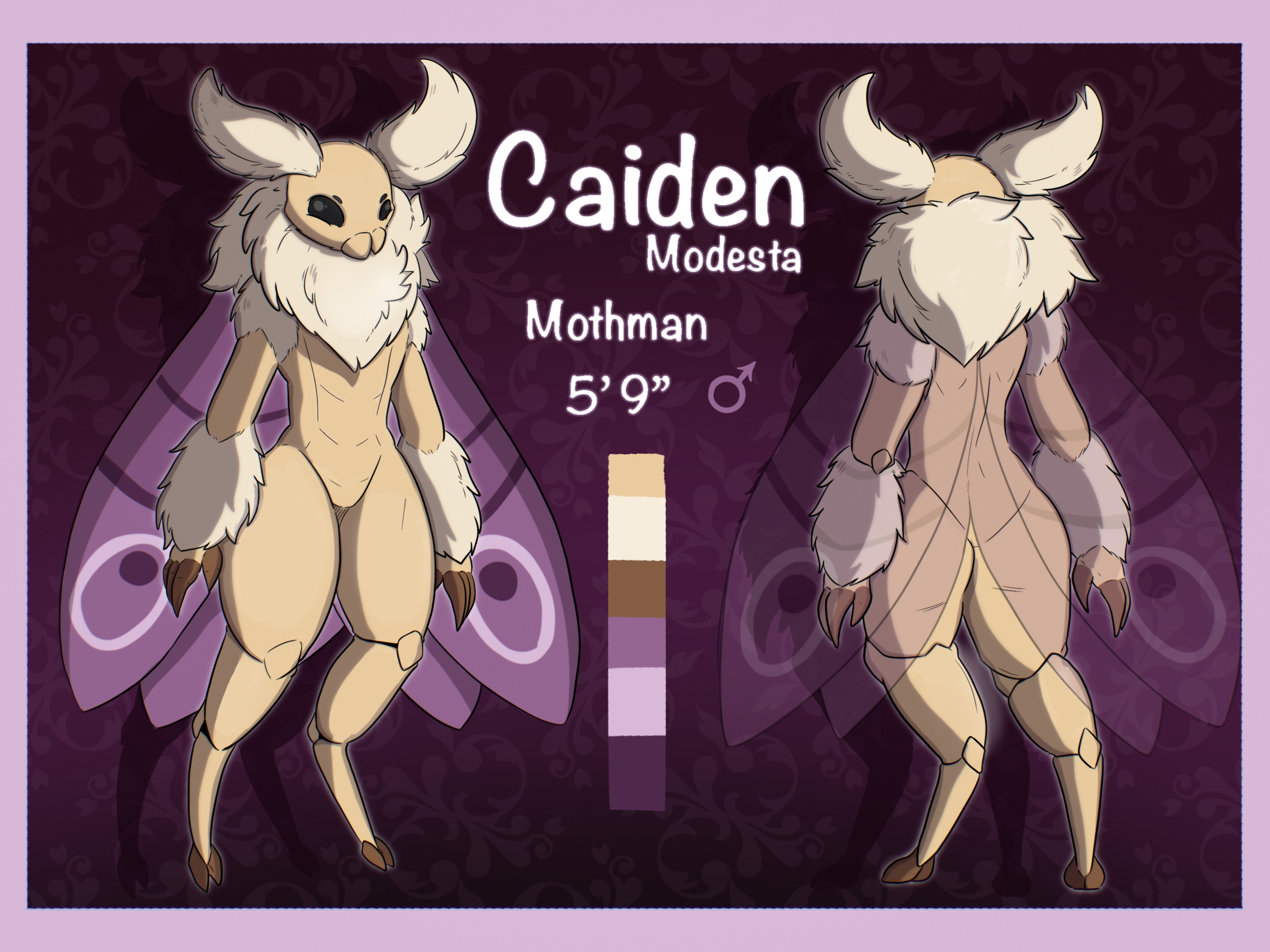 Caiden Modesta old reference sheet.